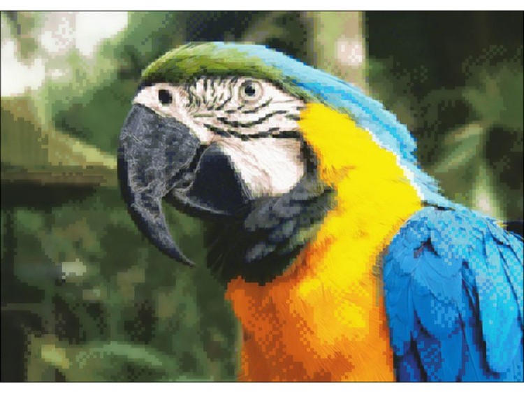 Алмазная вышивка «Попугай» — картинка 2