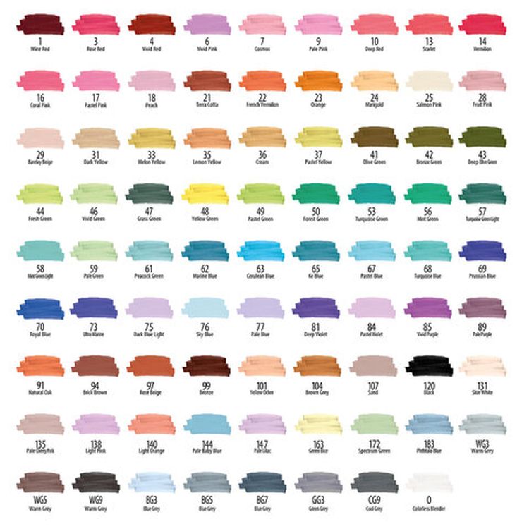 Маркеры для скетчинга двусторонние BRAUBERG ART DEBUT BLACK, цвет: набор 80 цв — картинка 15