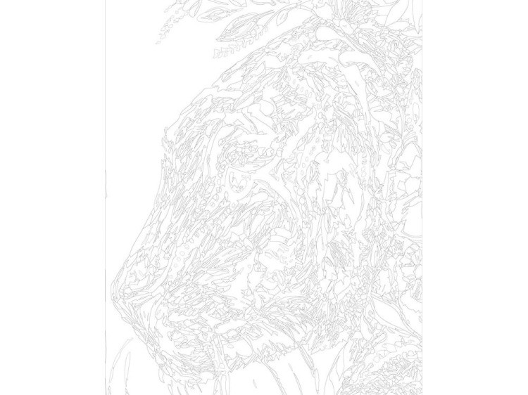 Картина по номерам «Узорный тигр» — картинка 3