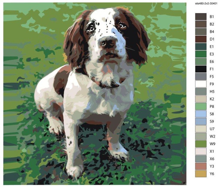 Картина по номерам «Спаниель» — картинка 2