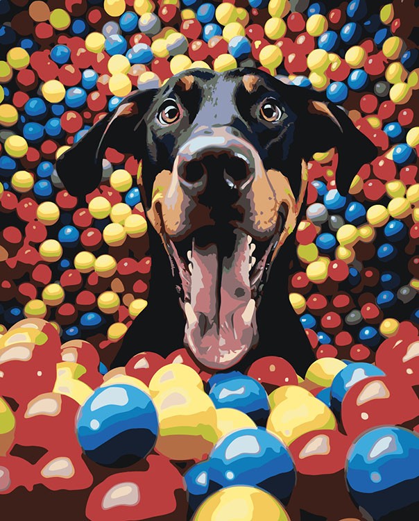 Картина по номерам «Собака доберман в разноцветных мячиках»