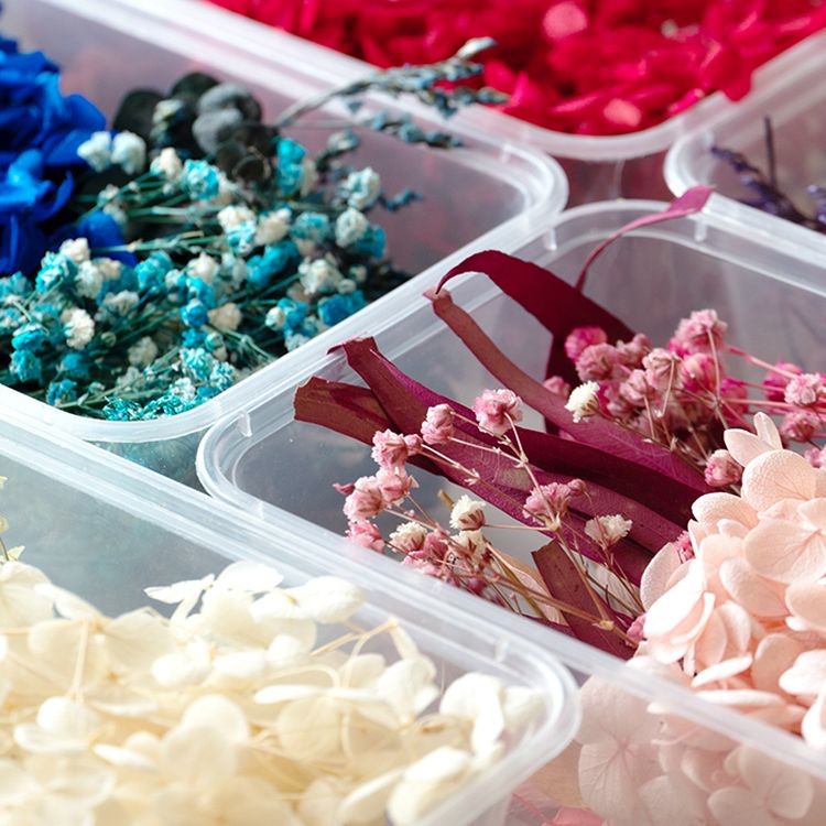 Набор сухоцветов розовый, Artline — картинка 4