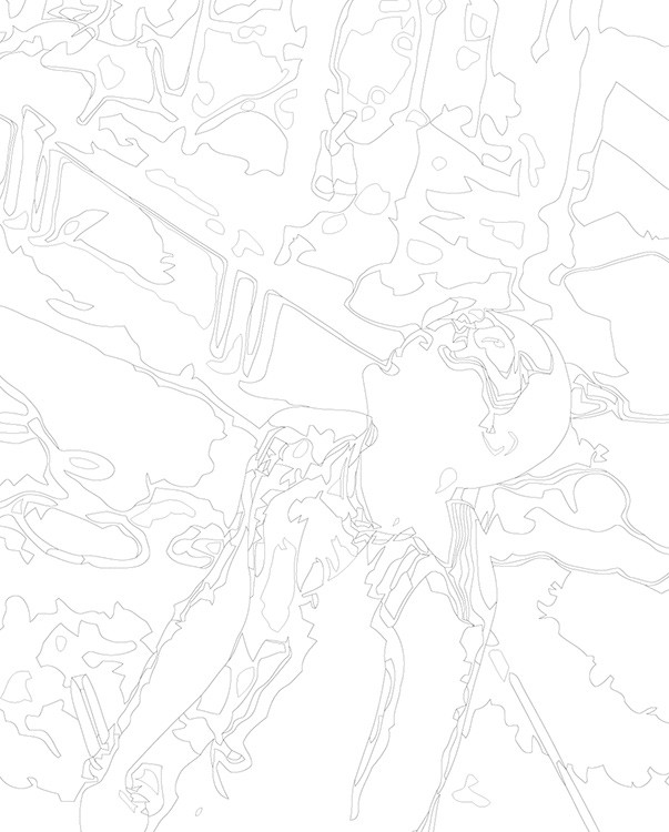 Картина по номерам «Скриптонит рэпер Адиль: чернобелая 40х50» — картинка 3