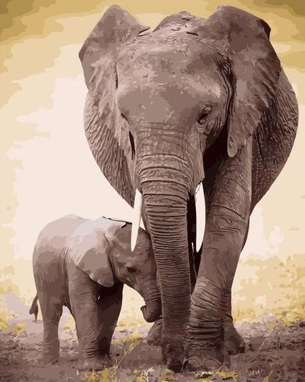 Картина по номерам «Семья слонов»