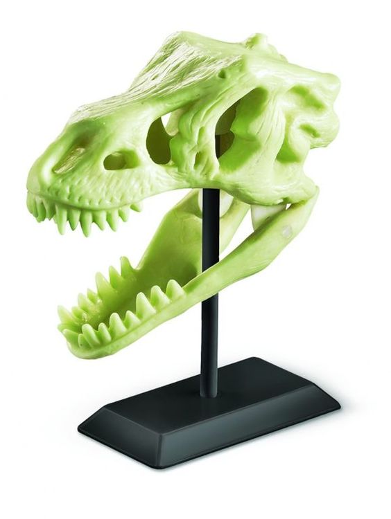 Набор юного палеонтолога «Палеонтологический музей» — картинка 5