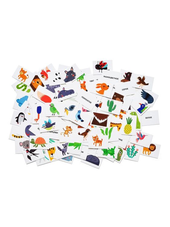 Настольная игра: Ночь в зоопарке — картинка 2