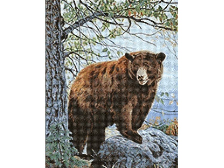 Алмазная вышивка «Бурый медведь» — картинка 3