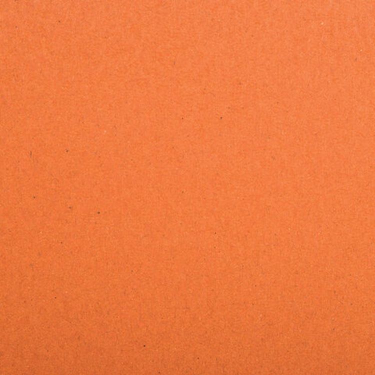 Альбом для пастели, картон цвет: терракота, тонированный, 630 г/м2, 207x297 мм, 10 л., BRAUBERG CLASSIC — картинка 7