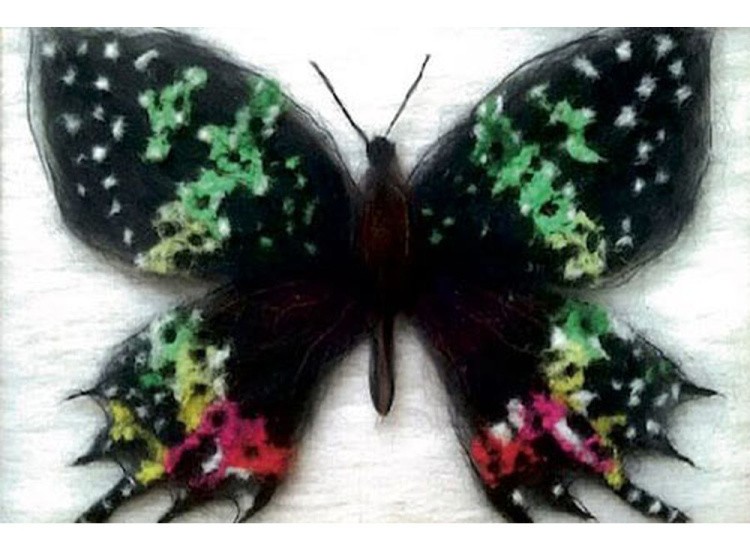 Картина шерстью «Бабочка Урания Мадагаскарская»