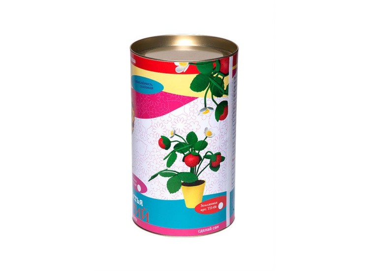 Набор для создания топиария «Земляника» — картинка 4