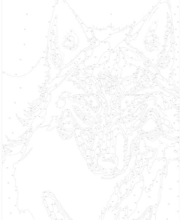 Картина по номерам «Хмурый взгляд» — картинка 3