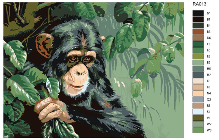 Картина по номерам «Обезьянка» — картинка 2