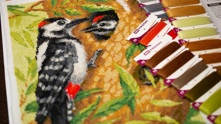 Набор для вышивания «Дятел» — картинка 3