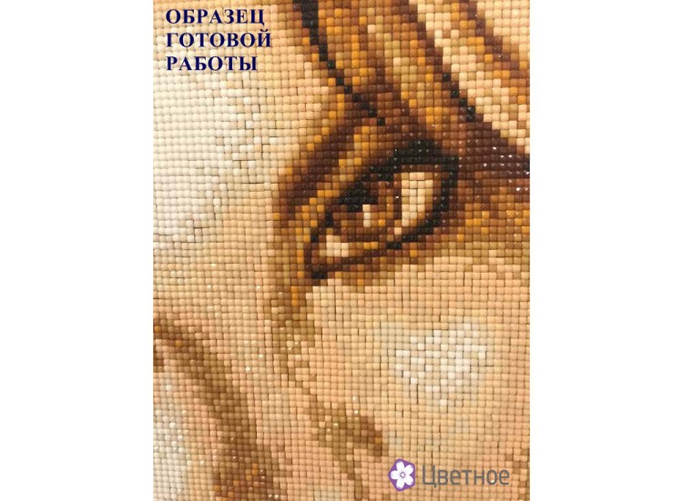 Алмазная вышивка «Маки на окне» — картинка 5