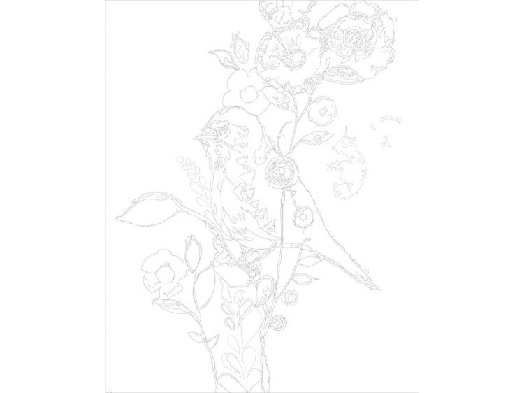 Картина по номерам «Канарейка» — картинка 3