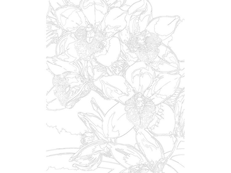 Картина по номерам «Белые орхидеи» — картинка 3