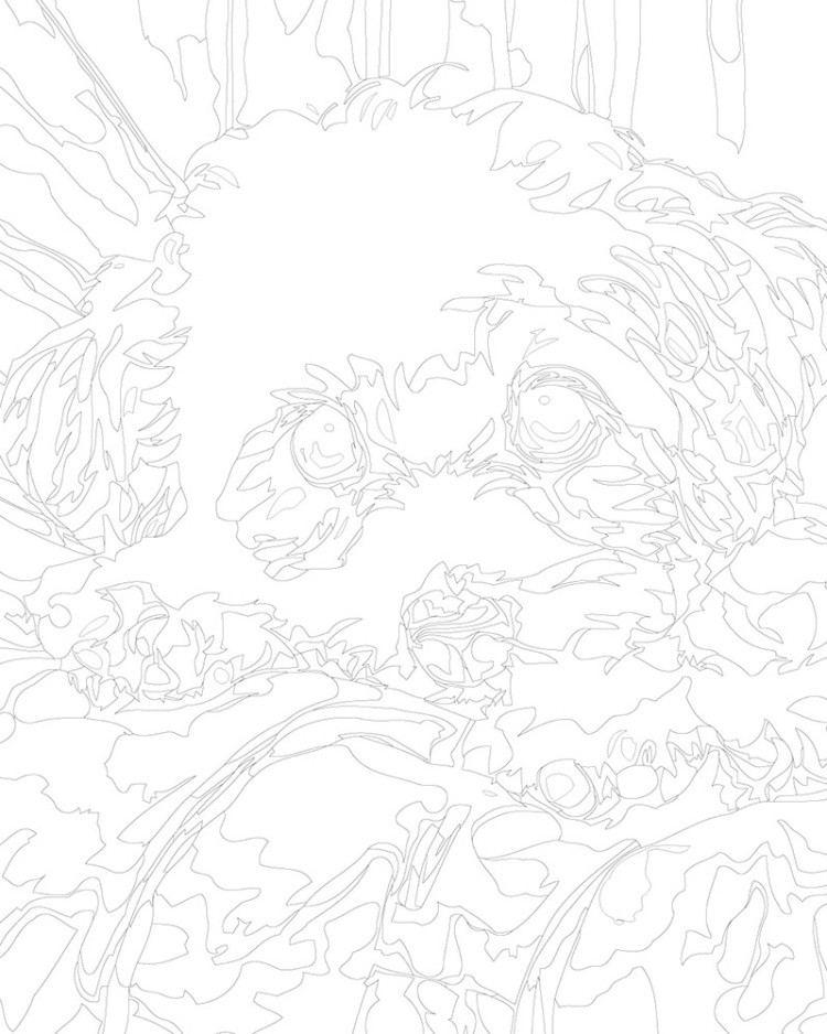 Картина по номерам «Собаки: бежевый щенок мальтипу на кровати» — картинка 3