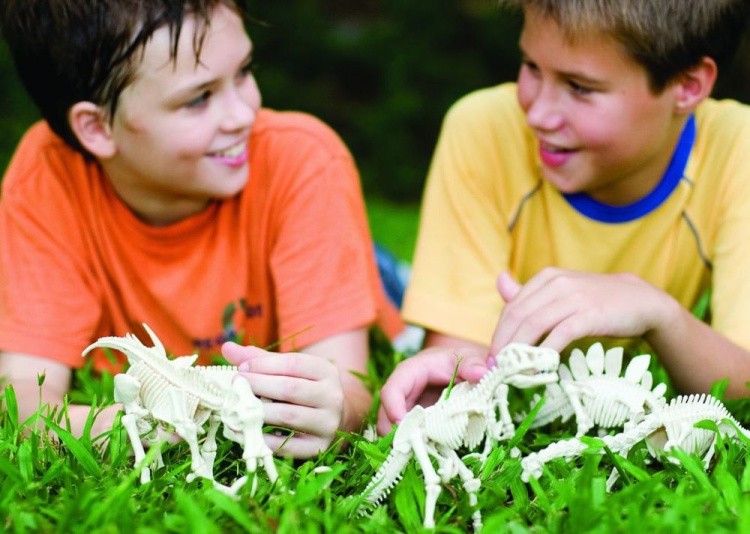 Набор юного археолога «Скелет Мамонта» — картинка 3