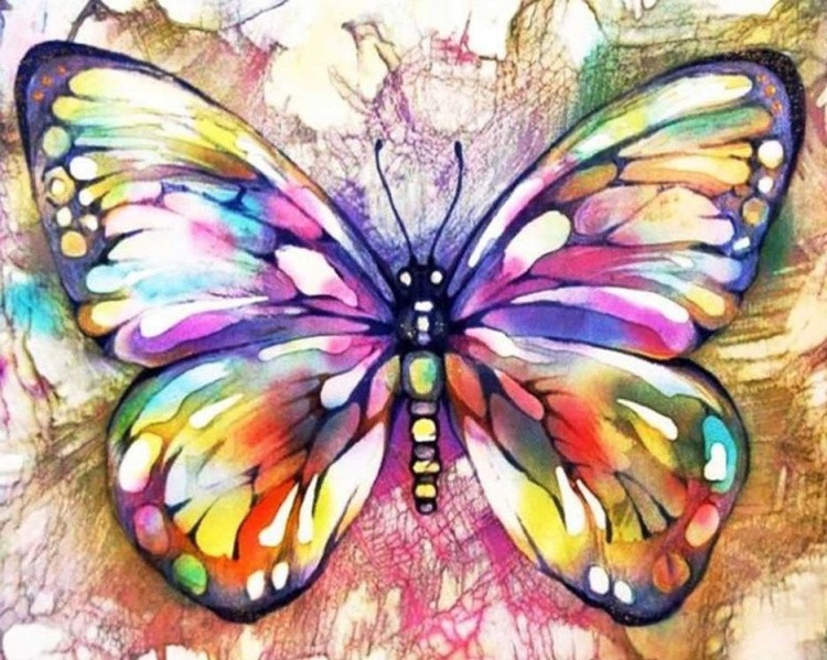 Алмазная вышивка «Бабочка» — картинка 2