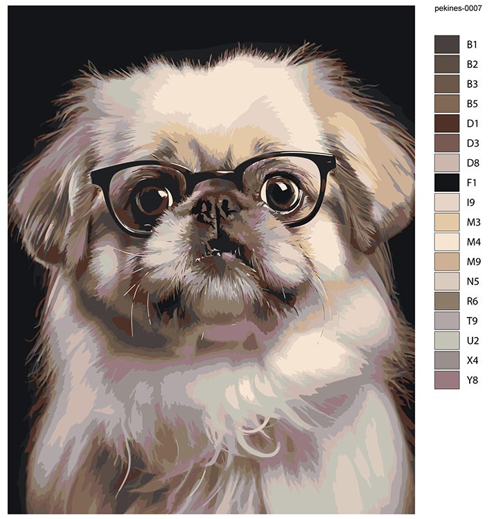 Картина по номерам «Собака Пекинес в очках» — картинка 2