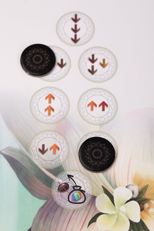 Игра настольная «Чакра с дополнением Инь и Ян», Эврикус — картинка 14