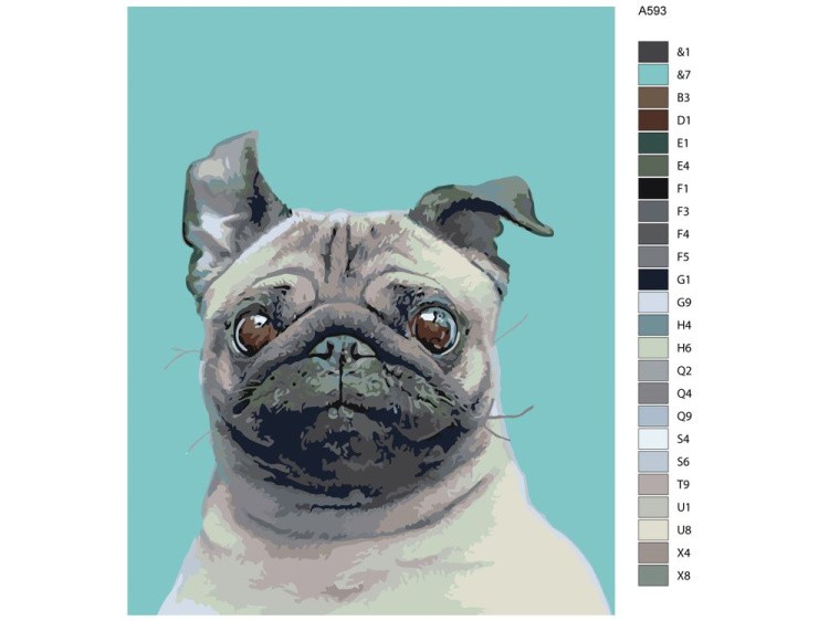 Картина по номерам «Весёлый мопс» — картинка 2