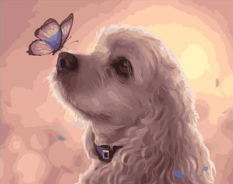 Картина по номерам «Собачка и бабочка»