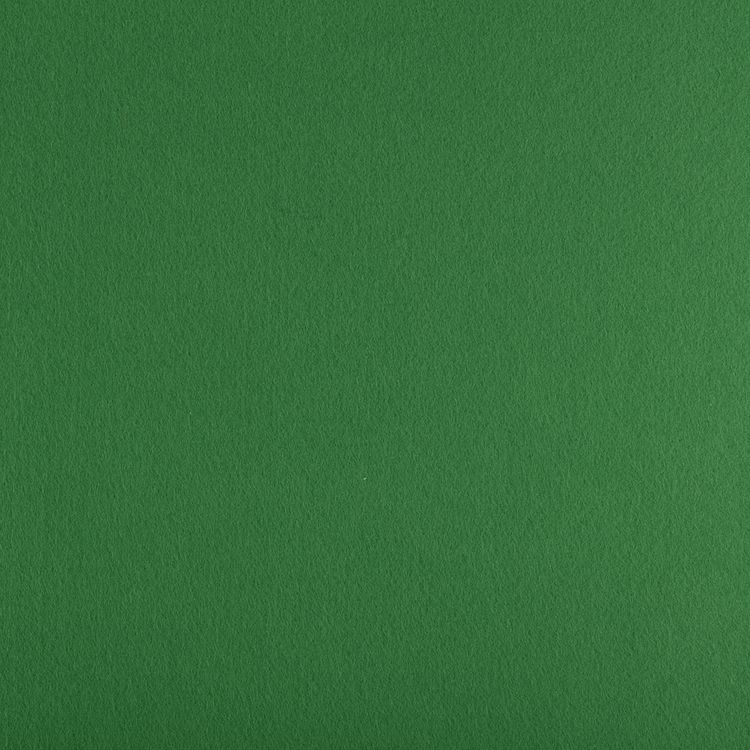 Фетр декоративный, жесткий, 1,2 мм, 33х53 см ± 2 см, 1 шт., цвет: 867 зеленый, Gamma
