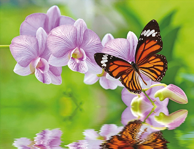 Алмазная вышивка-открытка «Бабочка на ветке»