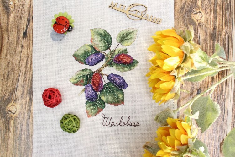 Набор для вышивания «Дары природы. Шелковица» — картинка 2