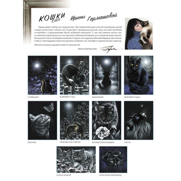 Картина по номерам «Наведение порядка» — картинка 4