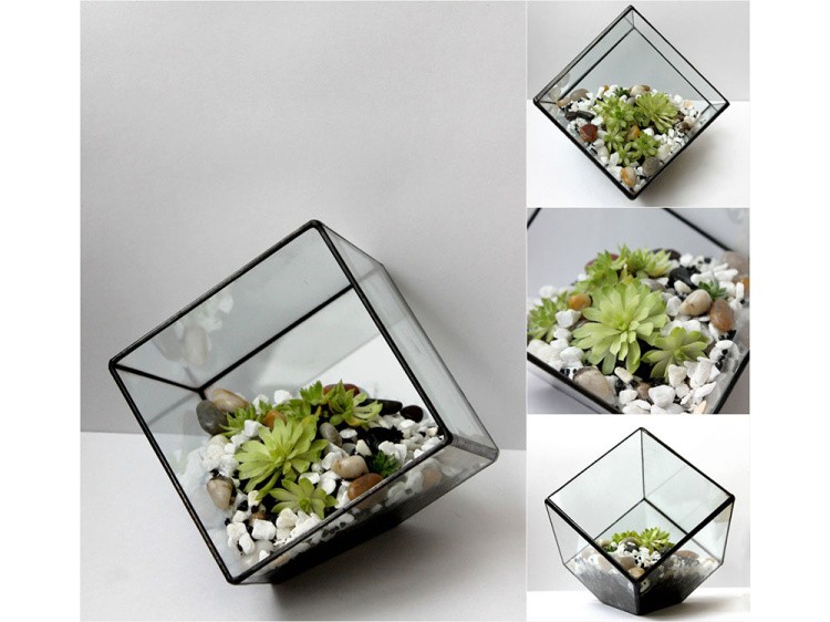 Флорариум куб — картинка 4