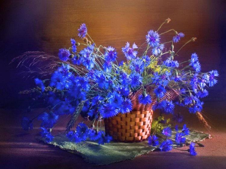 Картина по номерам «Синие великолепие» — картинка 3