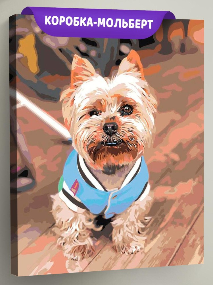 Картина по номерам «Йоркширский терьер»
