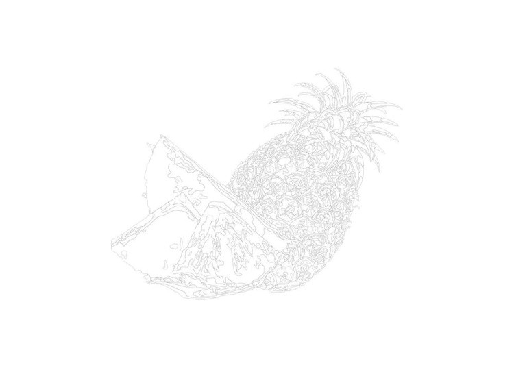 Картина по номерам «Сочный ананас» — картинка 3