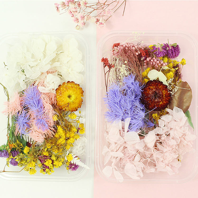 Набор сухоцветов, 1 упаковка — картинка 5