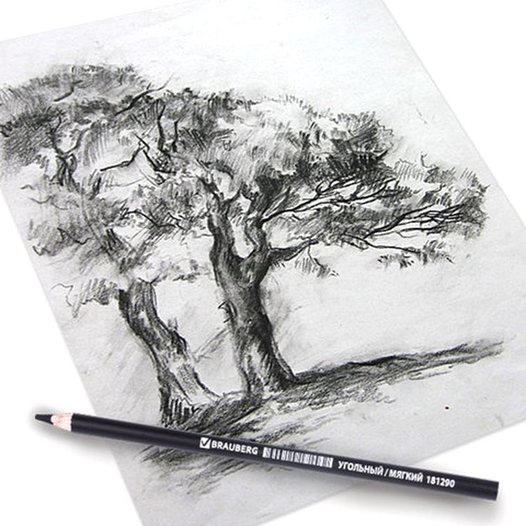 Карандаш угольный BRAUBERG ART CLASSIC, 1 шт., мягкий, круглый, корпус черный, заточенный — картинка 3