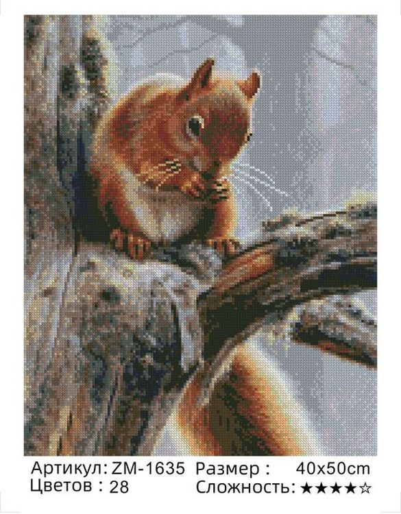 Алмазная вышивка «Белка» — картинка 2