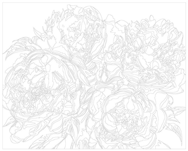 Картина по номерам «Цветы: Грациозные фиолетовые пионы» — картинка 3