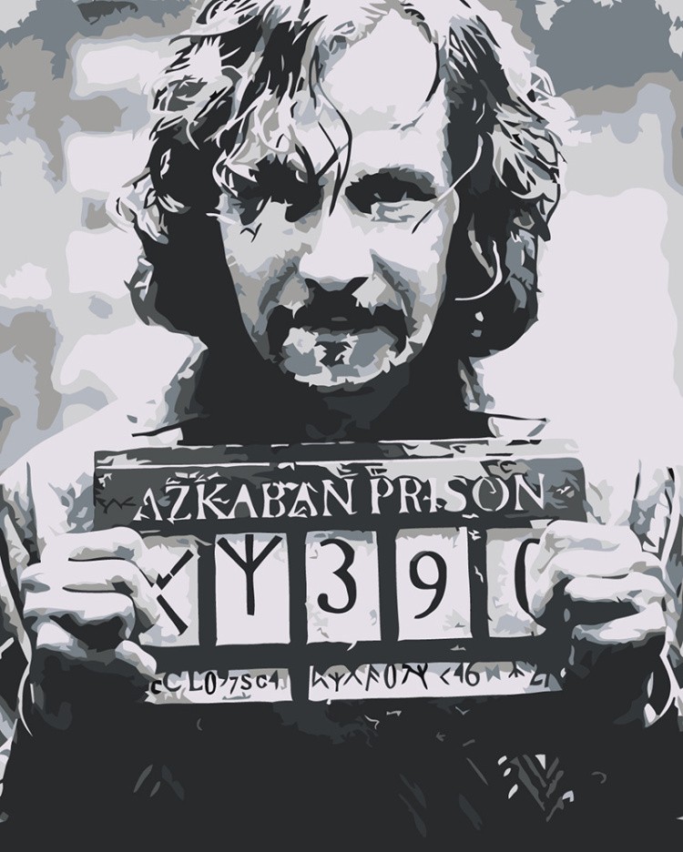 Картина по номерам «Гарри Поттер: Сириус Блэк»