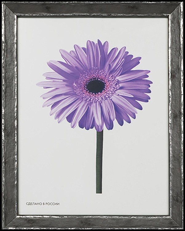 Рамка для картин «Viola», 40x50 см — картинка 4