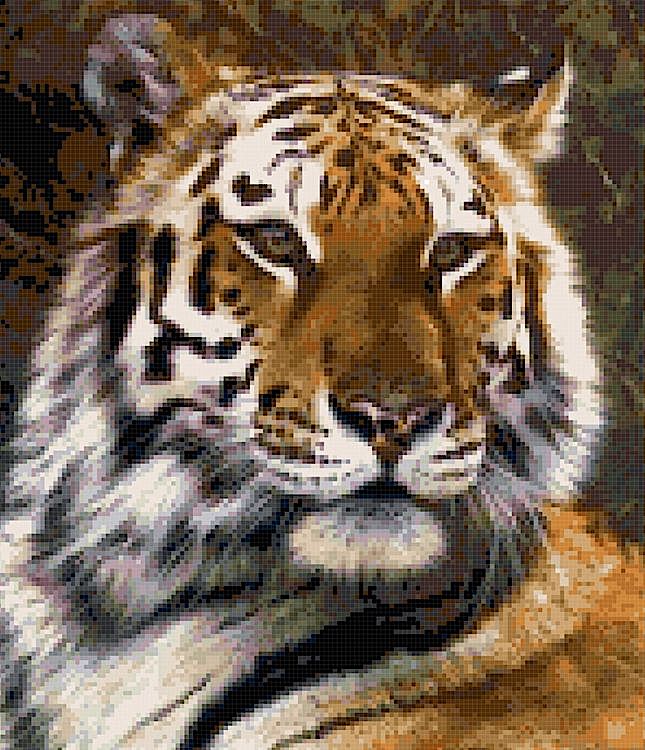 Набор для вышивания «Благородный тигр»