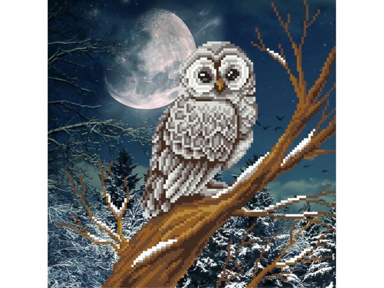 Рисунок на габардине «Сова. Ночь. Луна»