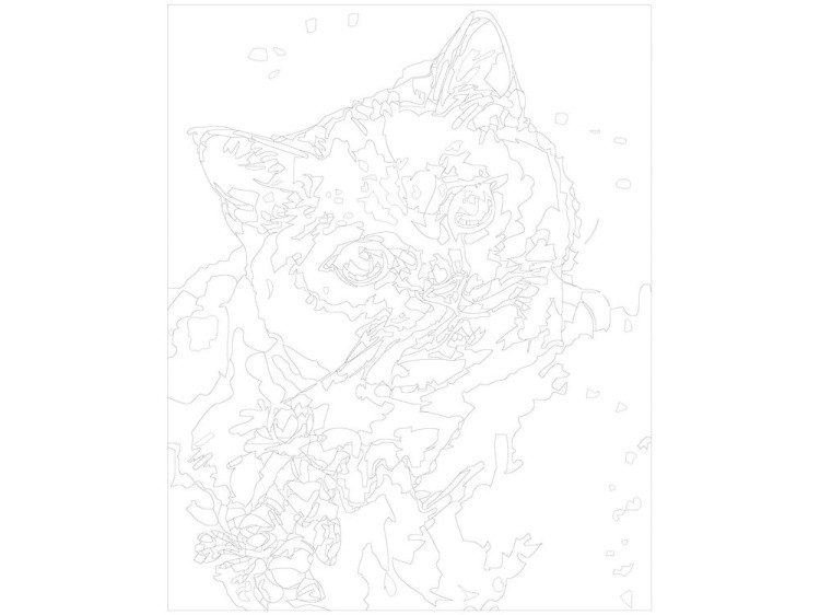 Картина по номерам «Кошачий взгляд» — картинка 3