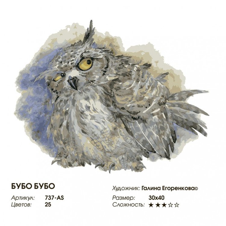 Картина по номерам «Бубо Бубо» — картинка 2