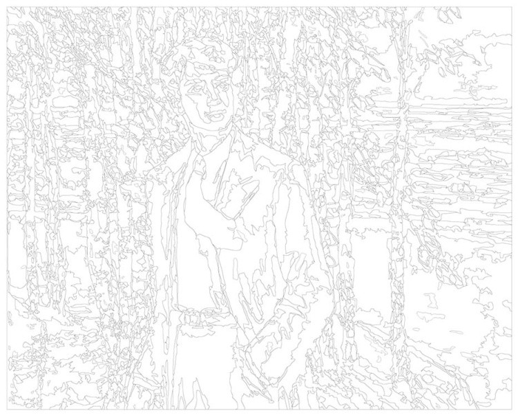 Картина по номерам «Поэт Сергей Есенин на фоне берез» — картинка 3