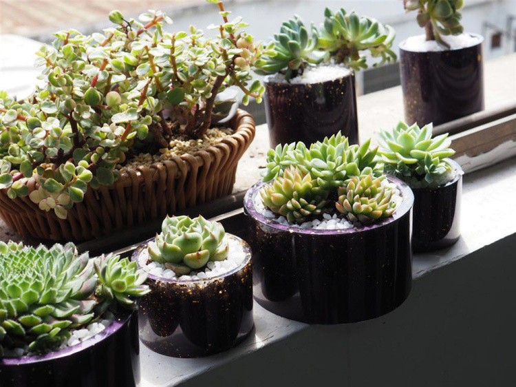 Силиконовый молд - Кашпо, d12x7см — картинка 4