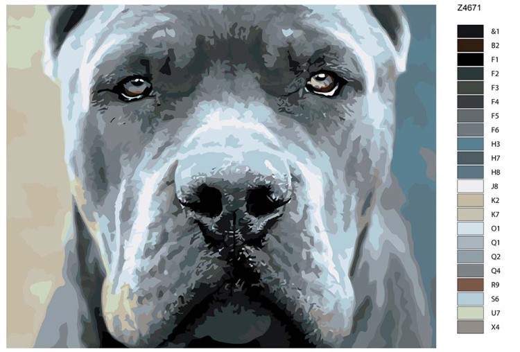 Картина по номерам «Кане-корсо» — картинка 2