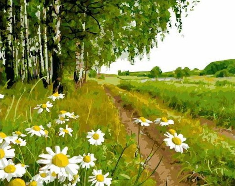 Картина по номерам «Тропинка рядом с полем»