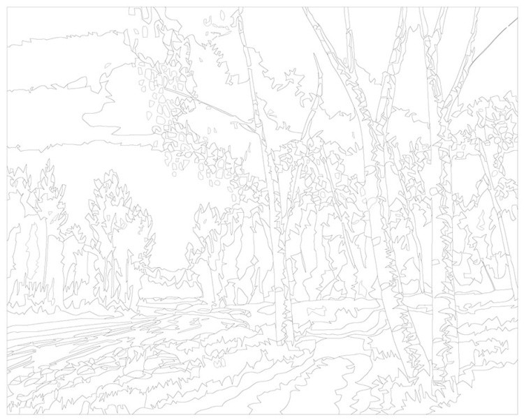 Картина по номерам «Природа: Пейзаж с березами у реки» — картинка 3